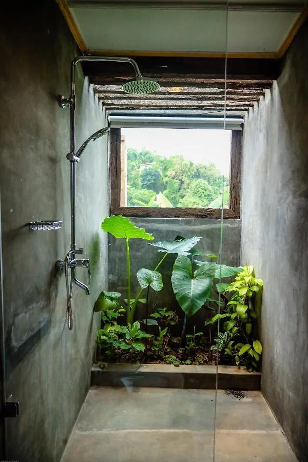Hostel Banana Bunks Kandy